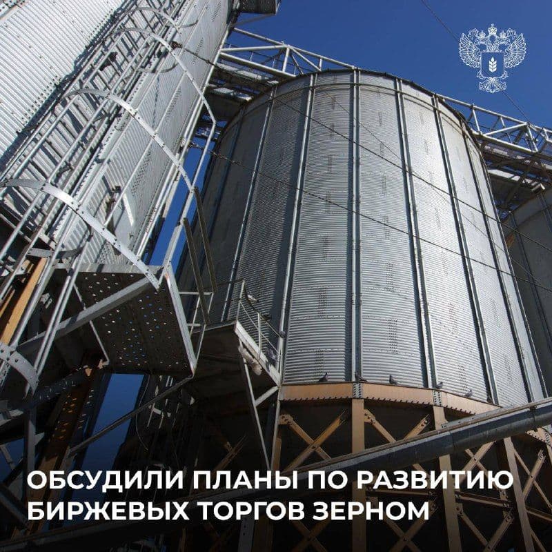 Глава Минсельхоза Оксана Лут провела совещание по развитию биржевых торгов зерном