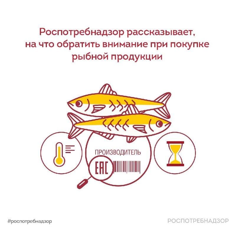 Рыба — это отличный источник легкоусвояемого белка, Омега-3, витаминов D и группы B, а также важных минералов. Но неправильное…