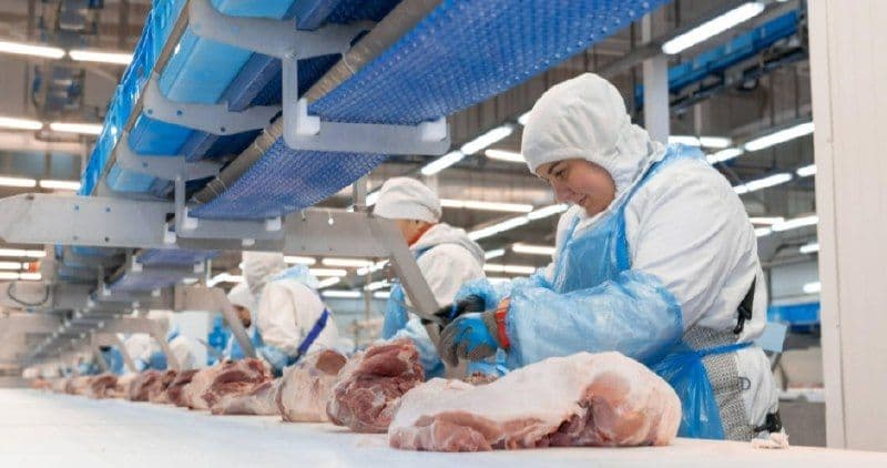 «Сибагро» внедряет экзоскелеты на мясокомбинате в Белгородской области